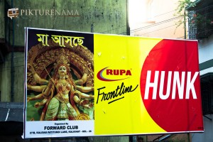 Kolkata Durga Puja 2015 12