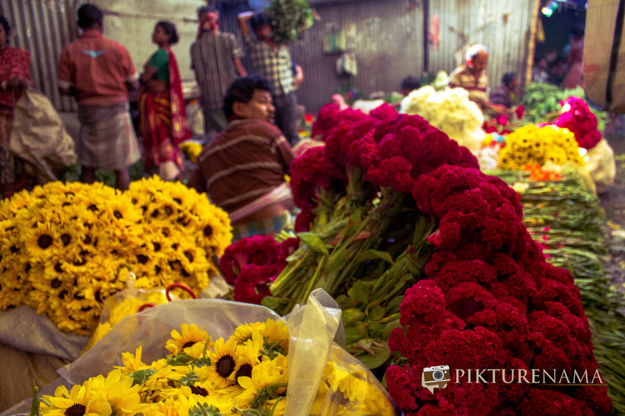 Mullick Ghat flower market Kolkata 15
