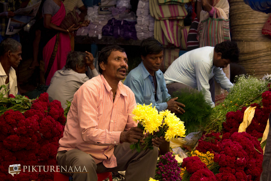 Mullick Ghat flower market Kolkata 7
