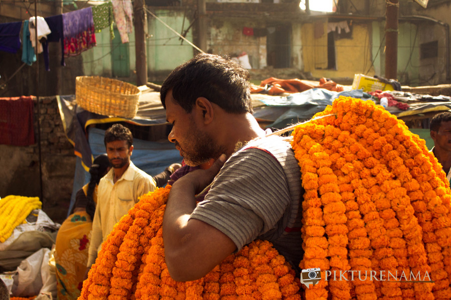 Mullick Ghat flower market Kolkata 11