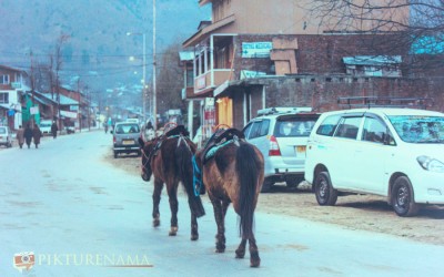 Pahalgam – As evening sets in the small town