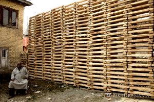The owner of Kashmir willow bat manufacturing unit