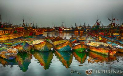 Its all fishy in Vizag fishing harbour