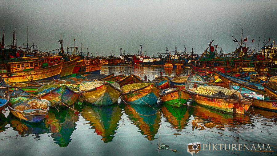Its all fishy in Vizag fishing harbour