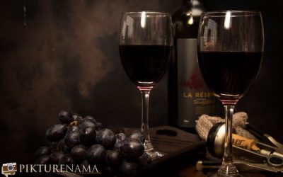 Taj International Vine and Dine experience – Are Indians drinking the right wine?