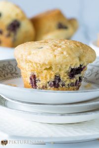 blueberry muffins - 6
