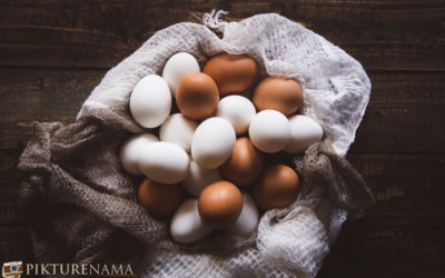10 Best Egg Recipes | Must Try Egg Recipes