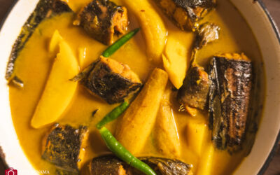 Magur machher jhol and my post-partum ordeal with it